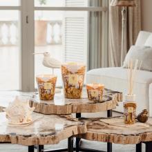 Baobab Collection Cocody Fragrance Diffuser - Sacred Trees Summer Collection