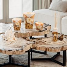 Baobab Collection Cocody Fragrance Diffuser - Sacred Trees Summer Collection