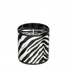 Dolce & Gabbana Casa Zebra Perfumed Candle 013