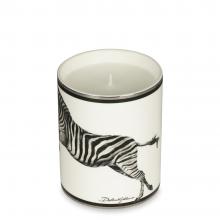 Dolce & Gabbana Casa Zebra Perfumed Candle 019