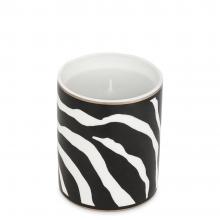 Dolce & Gabbana Casa Zebra Perfumed Candle 003