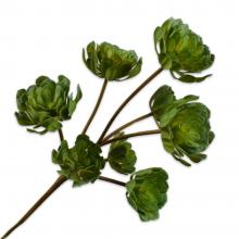 Silk-Ka SUCCULENT SPRAY Green 60cm