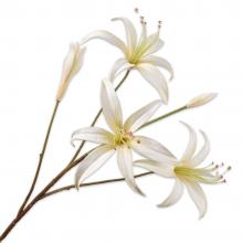 Silk-Ka LILY SPRAY Cream 80cm