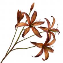 Silk-Ka LILY SPRAY Brn/Grn 80cm
