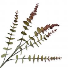 Silk-Ka EUCALYPTUS SPRAY Bur/Grn 74cm