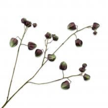 Silk-Ka PHYSALIS SPRAY Grn/Brn 92cm