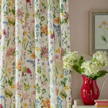 Bluebellgray Isolation Garden Spring