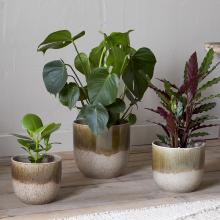 Nkuku Almeida Reactive Glaze Plant Pot - Olive & Natural