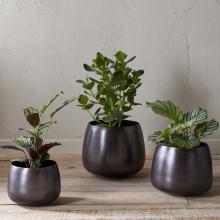Nkuku Maliki Plant Pot - Aged Bronze