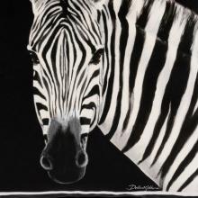 Dolce & Gabbana Casa Zebra Cushion Velvet Small 005