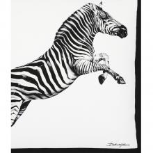 Dolce & Gabbana Casa Zebra Cushion Canvas Small 004
