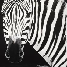 Dolce & Gabbana Casa Zebra Cushion Duchesse Medium 005