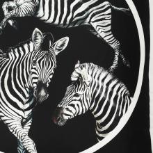 Dolce & Gabbana Casa Zebra Cushion Silk Twill Large 007