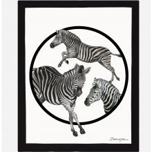 Dolce & Gabbana Casa Zebra Silk Throw Doubled With Wool 006