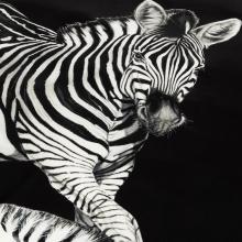 Dolce & Gabbana Casa Zebra Silk Quilted Throw 007