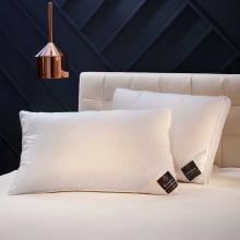 Brinkhaus The Paisley Hungarian Goose Down Pillow