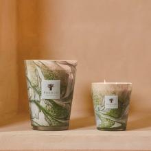 Baobab Collection Marius Candle - Leaves Limited Edition Collection