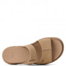 UGG W Goldengaze Slide Mustard Seed