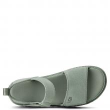 UGG Goldenstar Sandal Artichoke