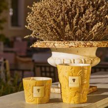 Baobab Collection Dove Candle - Paz Collection Limited Edition