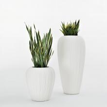 MyYour Skin Planter