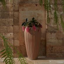 MyYour Skin Planter
