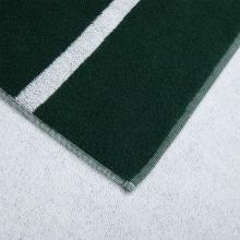 Lacoste L Origine Beach Towel Vert