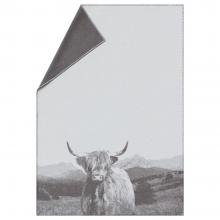 David Fussenegger Highland Cattle Sylt Blanket Throw Brown