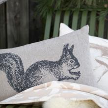 David Fussenegger Squirrel Nova Cushion Cover Charcoal