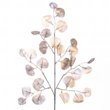 Goodwill Honesty petal leaf stem gold