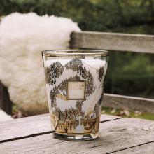Baobab Collection Aspen Candle - Limited Edition