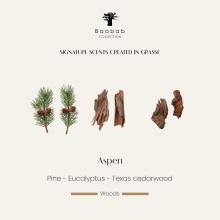 Baobab Collection Aspen Candle - Limited Edition