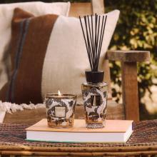 Baobab Collection Aspen Gift Set - My First Baobab Candle & Diffuser
