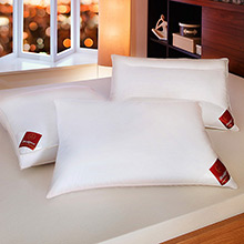 Brinkhaus The Premier Pillow, Hungarian White Goose Down
