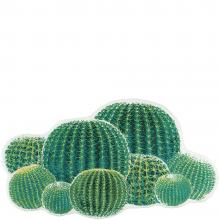 Abyss & Habidecor Cactus