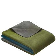 Ibena Toronto Petrol / Green 670