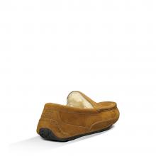 UGG Ascot Chestnut