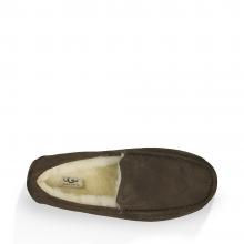 UGG Ascot Espresso