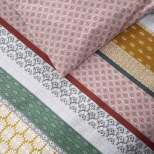 Olivier Desforges Rani