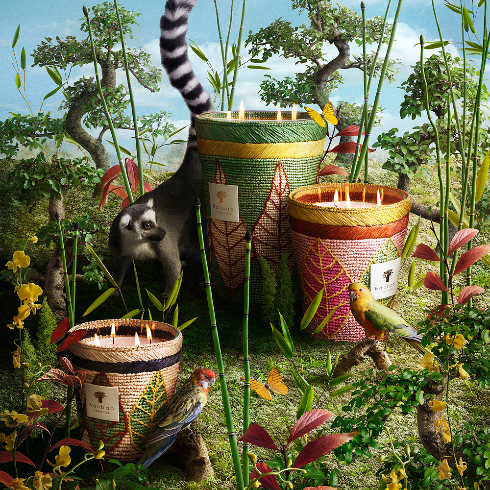 Baobab Collection RAVINTSARA HANITRA | Seymour's Home