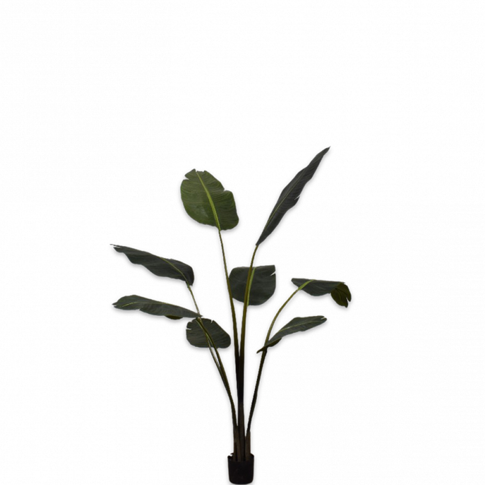 Silk-Ka STRELITZIA green 152cm | Seymour's Home