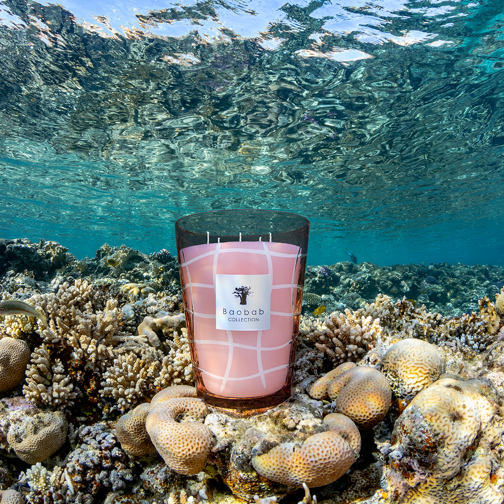 Baobab Collection Malibu Candle - Wav | Seymour's Home