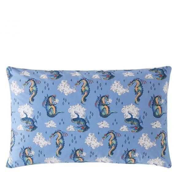 Cath Kids Peace Dragons