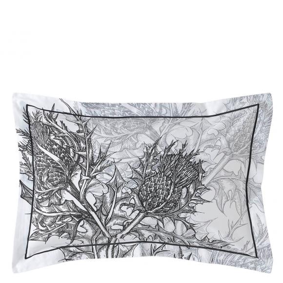 Timorous Beasties Thistle Carbon