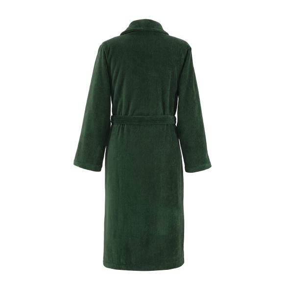 Lacoste L Rene Vert Robe