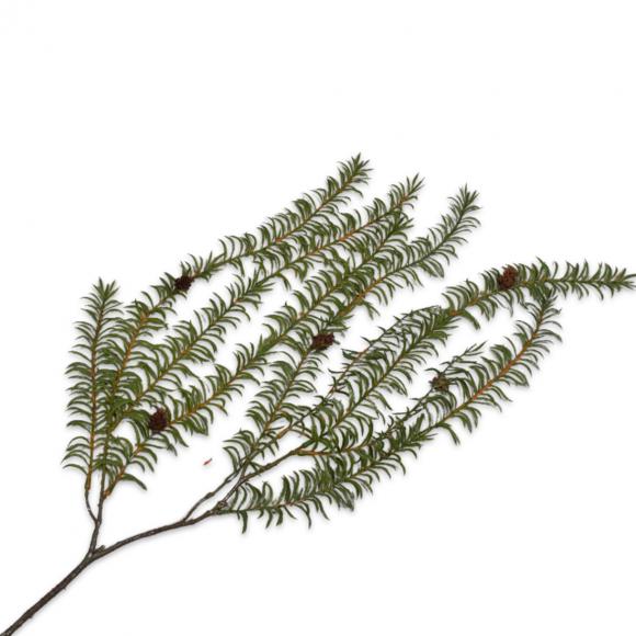 Silk-Ka CONIFEROUS PINE Green 110cm