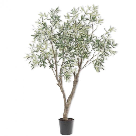 Silk-Ka OLIVE TREE Green 198cm