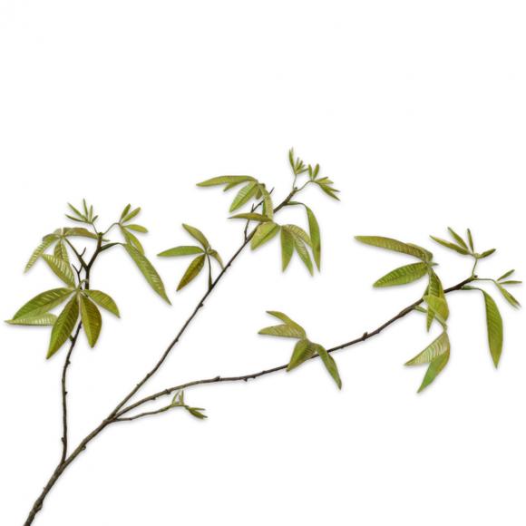 Silk-Ka MAPLE SPRAY Green 92cm