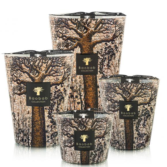 Baobab Collection Morondo Candle - Sacred Trees Collection 