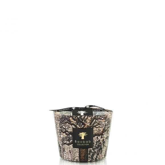 Baobab Collection Morondo Candle - Sacred Trees Collection 
